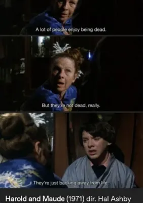  Harold and Maude -  A Quirky Romance Between Two Unlikely Souls!